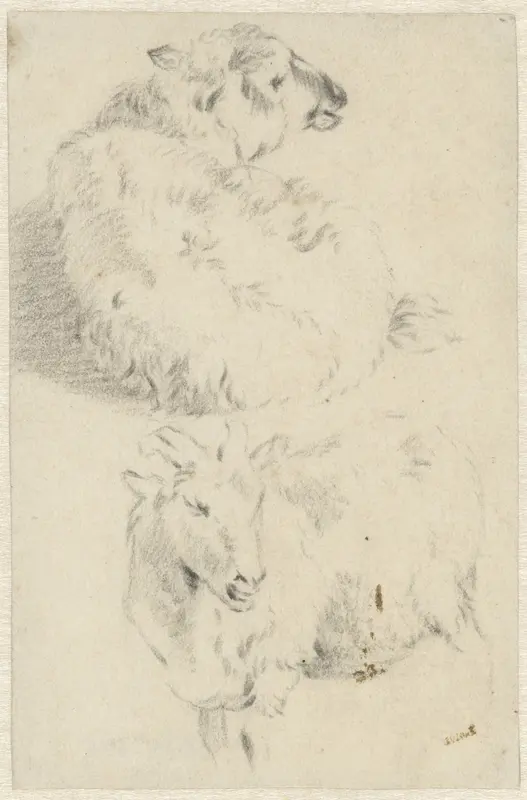 Twee studies van een schaap Wall Art by Abraham Krayestein - High-Resolution Digital Print