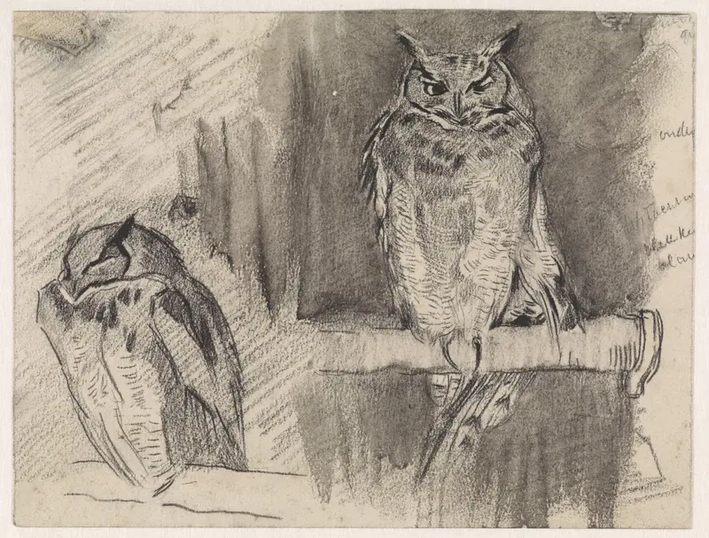 Twee studies van een uil Wall Art by Jan van Essen - High-Resolution Digital Print