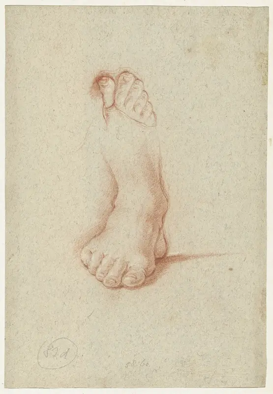 Twee studies van een voet Wall Art by Domenichino - High-Resolution Digital Print