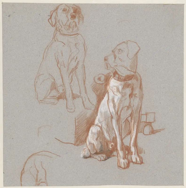 Twee studies van een zittende hond Wall Art by Guillaume Anne van der Brugghen - High-Resolution Digital Print