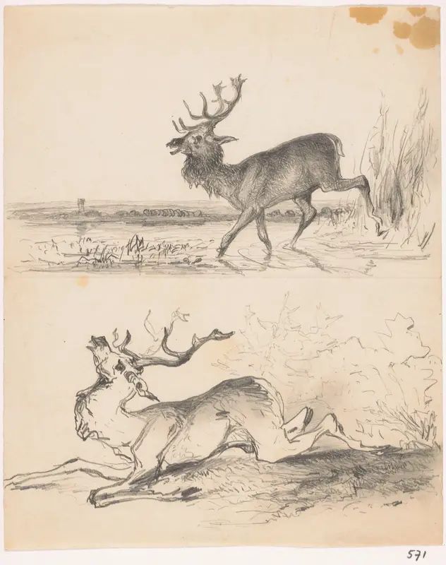 Twee studies van herten Wall Art by Johannes Tavenraat - High-Resolution Digital Print