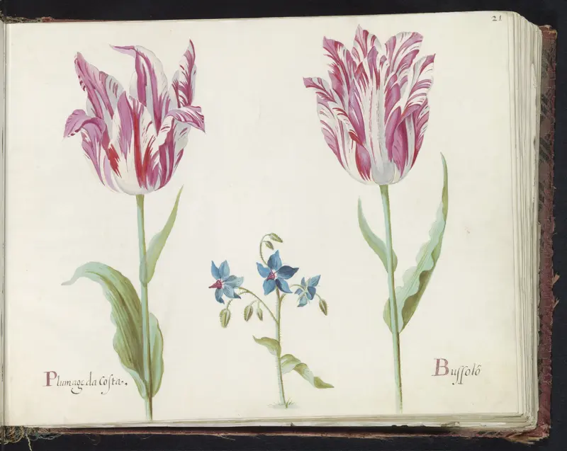 Twee tulpen met onbekende bloeiende plant Wall Art by Jacob Marrel - High-Resolution Digital Print