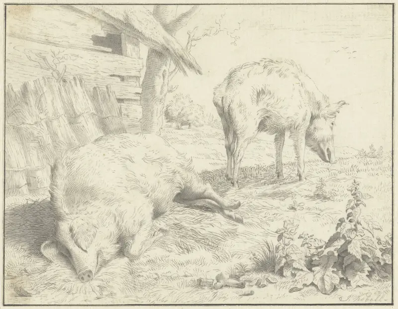 Twee varkens bij hun hok Wall Art by Jan Kobell (II) - High-Resolution Digital Print