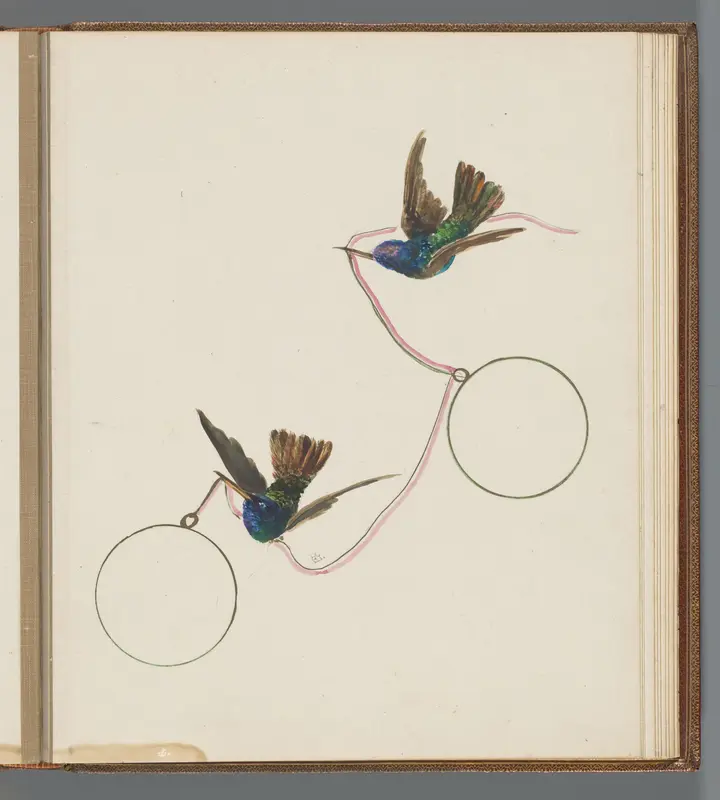 Twee vliegende kolibries met lint in de snavel Wall Art by Unknown - High-Resolution Digital Print