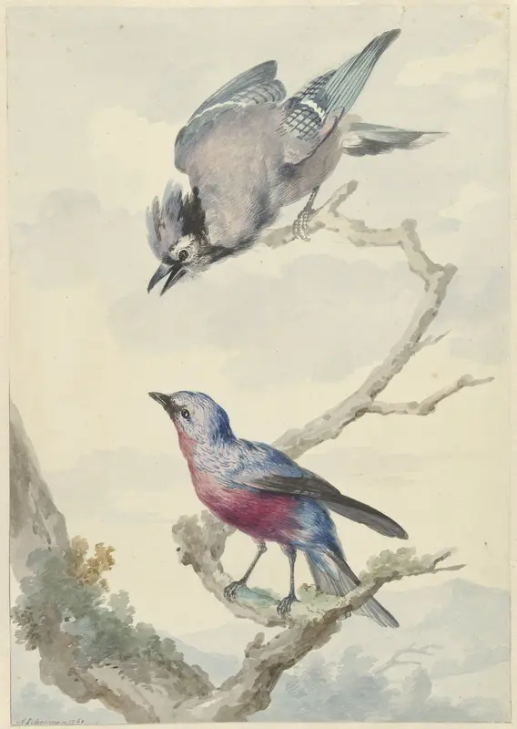 Twee vogels: een blauwe gaai en een purperborstcotinga Wall Art by Unknown - High-Resolution Digital Print