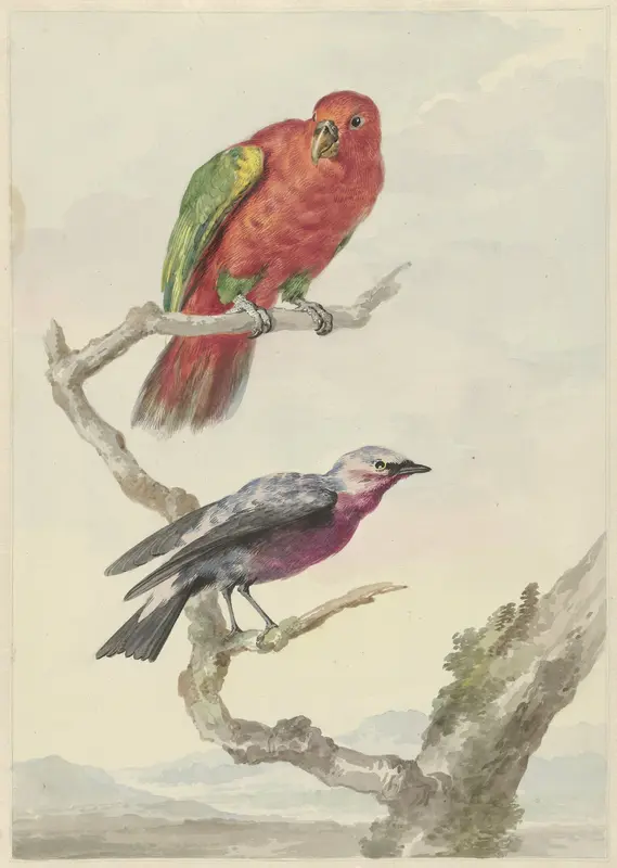 Twee vogels, waaronder een rood-groene papegaai Wall Art by Aert Schouman - High-Resolution Digital Print