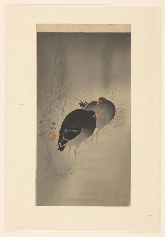 Twee waterhoentjes Wall Art by Unknown - High-Resolution Digital Print