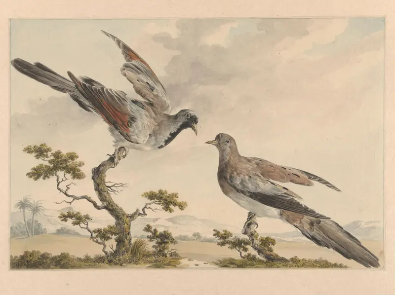 Twee zwartmaskerduifjes Wall Art by anonymous - High-Resolution Digital Print