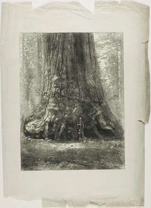 Twisted Trees