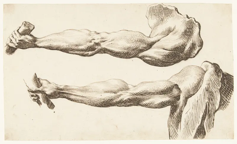 Two Anatomical Studies of An Arm Wall Art by Unknown - High-Resolution Digital Print