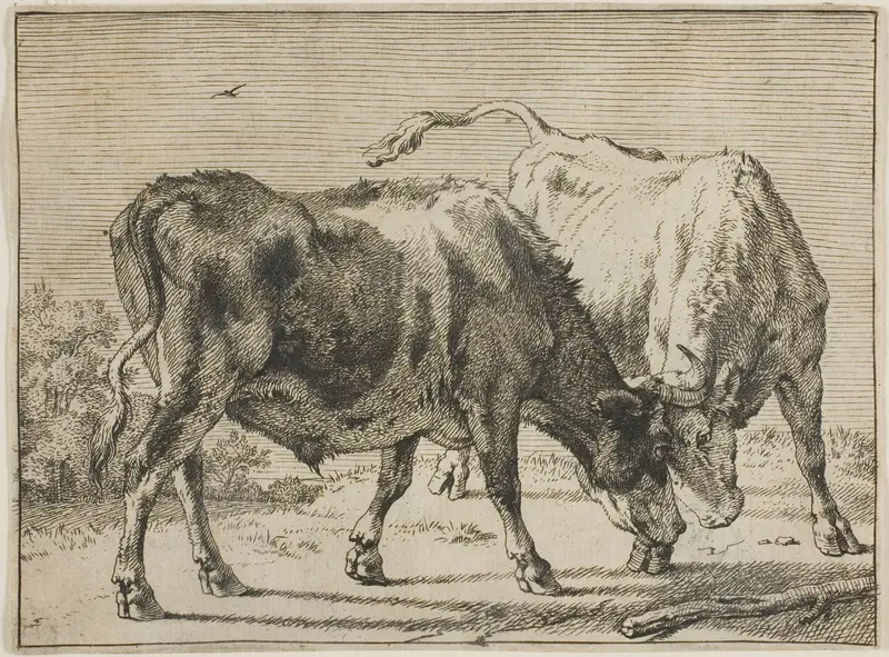 Two Bulls Fighting Wall Art by Paulus Potter - High-Resolution Digital Print