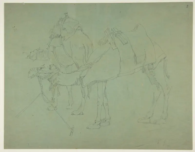 Two Camels Wall Art by Anonymous, French, 19th century - High-Resolution Digital Print