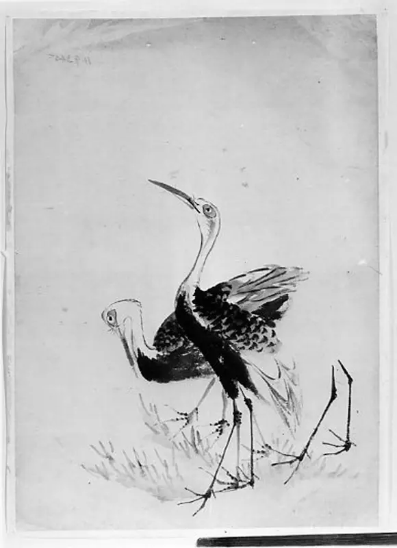 Two Cranes
