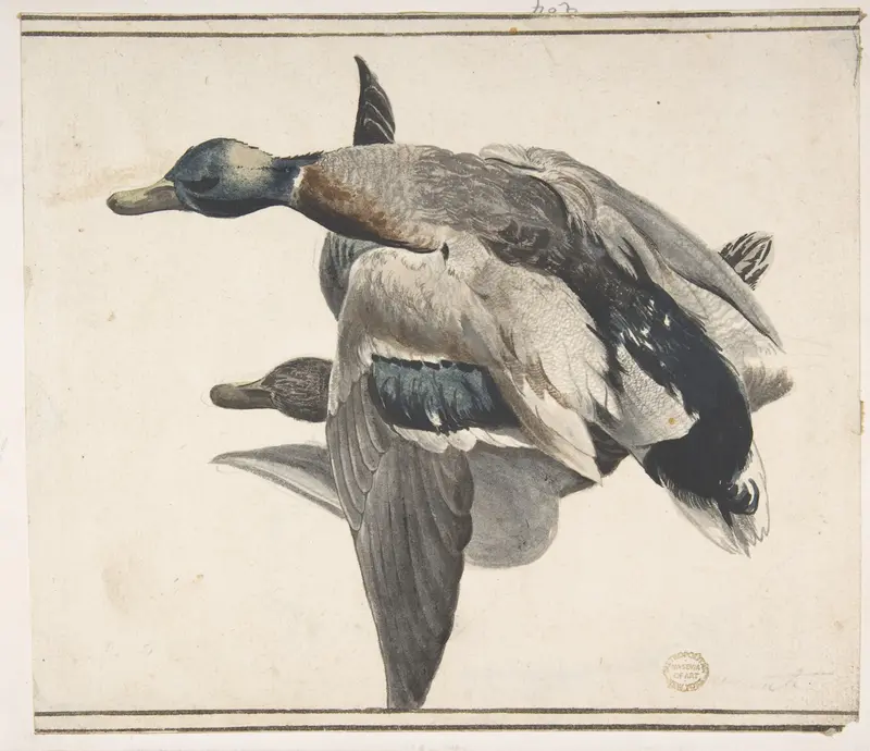 Two Dead Ducks Wall Art by Count Giorgio Durante (Duranti) - High-Resolution Digital Print
