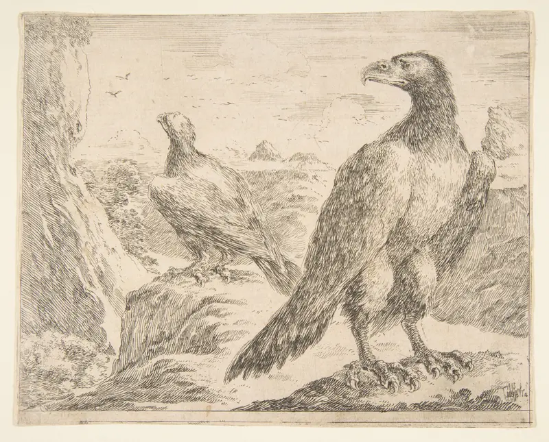 Two Eagles, from "Eagles"  (Les Aigles) Wall Art by Stefano della Bella - High-Resolution Digital Print