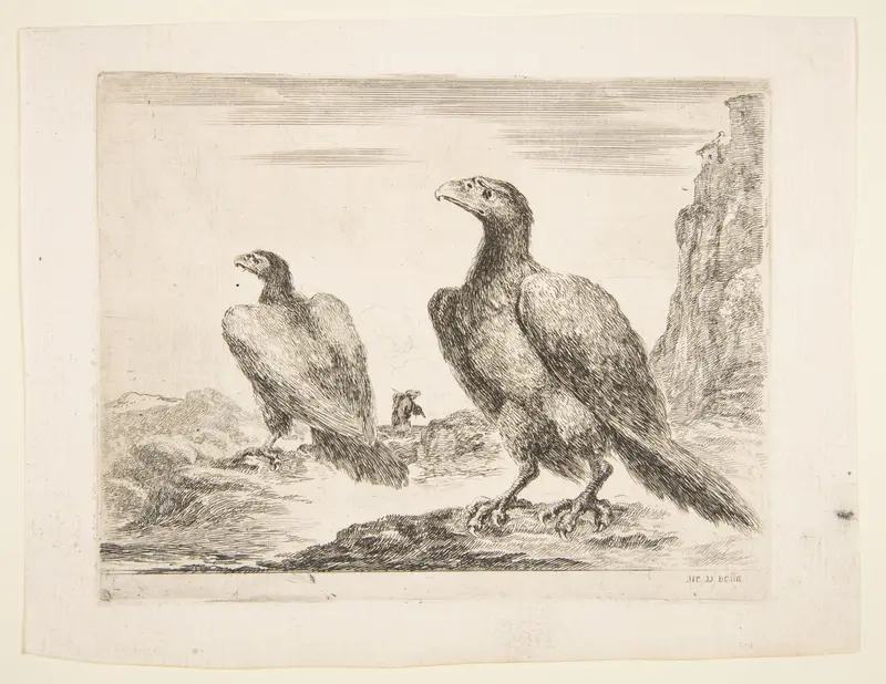 Two eagles, from 'Eagles'  (Les aigles) Wall Art by Stefano della Bella - High-Resolution Digital Print