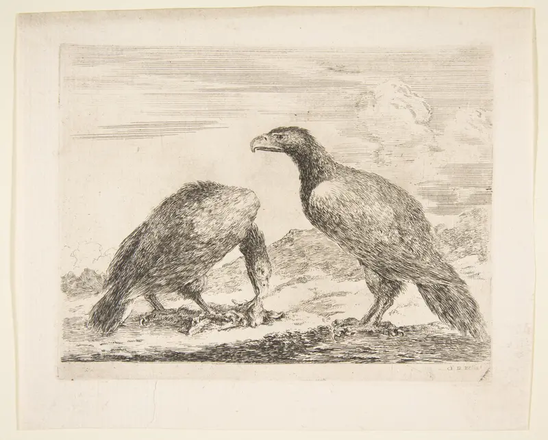 Two eagles, one devouring a lamb, from 'Eagles'  (Les aigles) Wall Art by Stefano della Bella - High-Resolution Digital Print