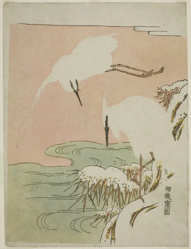Two Egrets in the Snow
