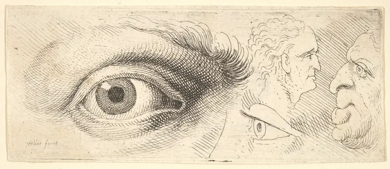 Two eyes and two heads Wall Art by Wenceslaus Hollar - High-Resolution Digital Print