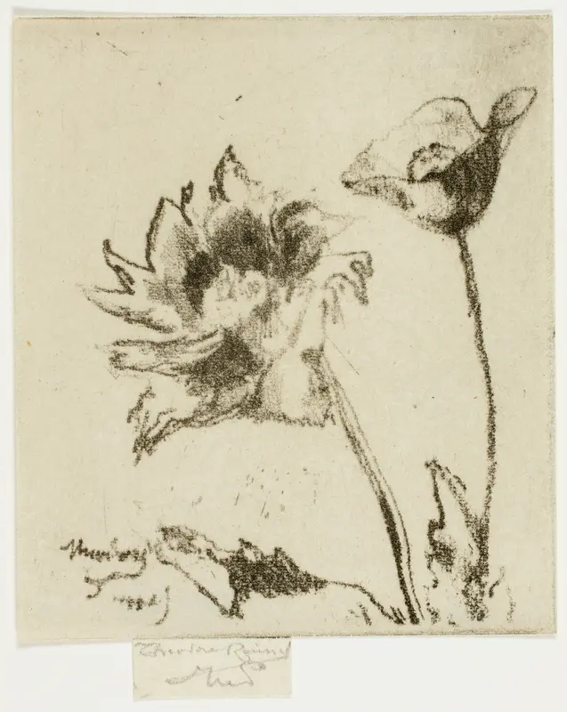 Two Flowers Wall Art by Theodore Roussel - High-Resolution Digital Print
