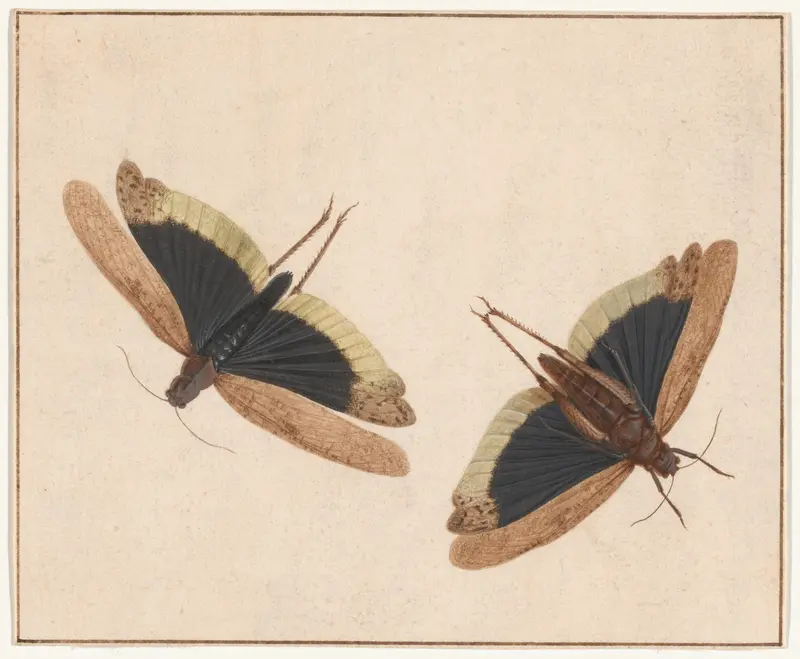 Two Grasshoppers Wall Art by Herman Henstenburgh - High-Resolution Digital Print