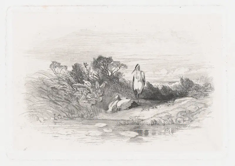 Two Herons Wall Art by Karl Bodmer - High-Resolution Digital Print