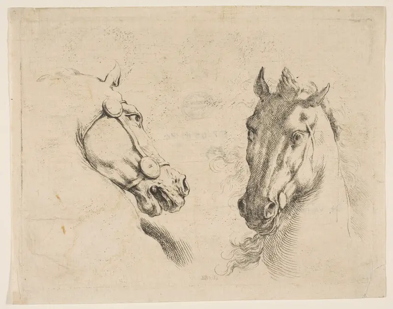 Two Horse Heads Wall Art by Stefano della Bella - High-Resolution Digital Print