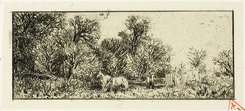 Two Horses in a Wood