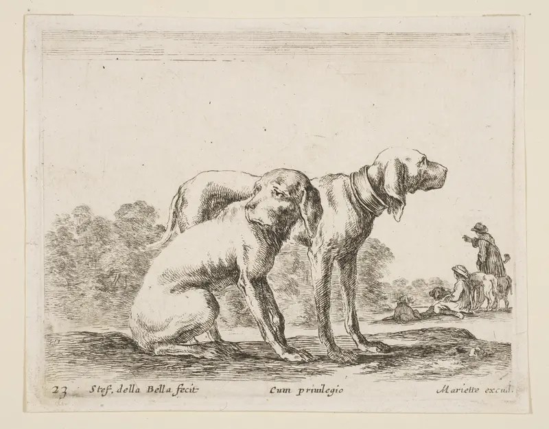 Two hounds, plate 23 from "Various Animals" (Diversi Animali) Wall Art by Stefano della Bella - High-Resolution Digital Print