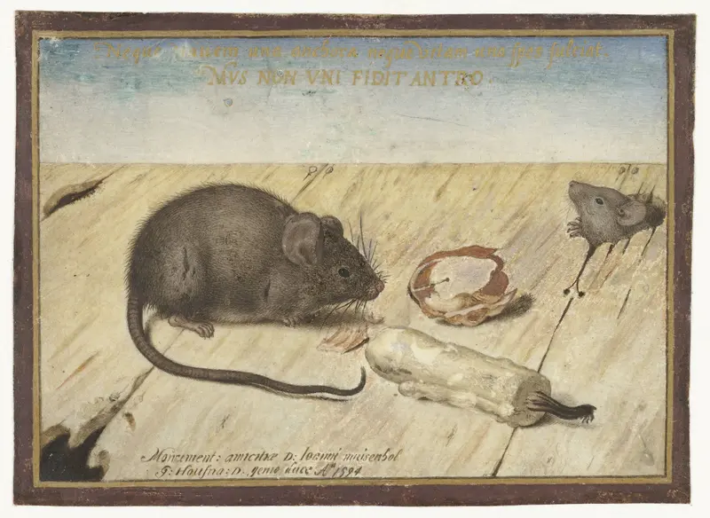 Two Mice Wall Art by Joris Hoefnagel - High-Resolution Digital Print