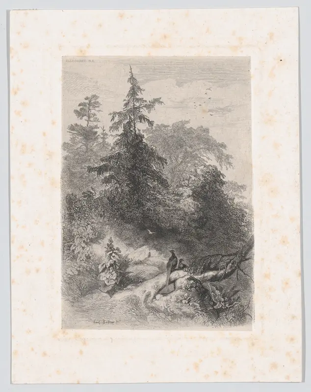 Two Pheasants in a Forest Wall Art by Karl Bodmer - High-Resolution Digital Print