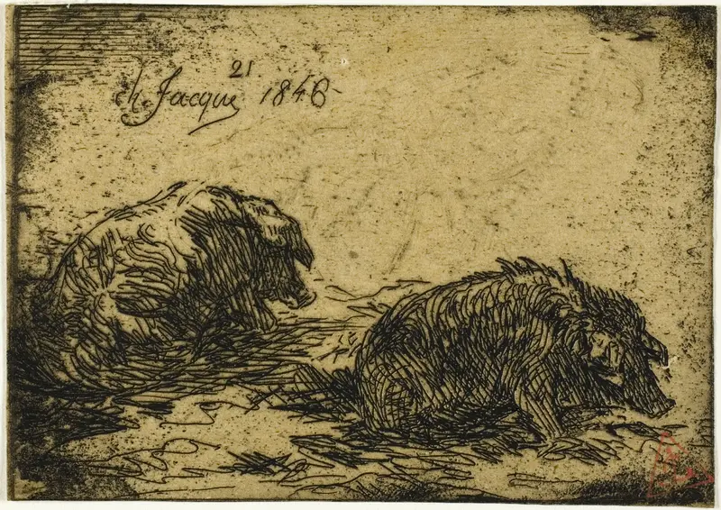 Two Pigs Lying Down