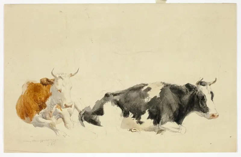 Two Recumbent Cows (recto); Sketch of Standing Cow (verso) Wall Art by Thomas Sidney Cooper - High-Resolution Digital Print
