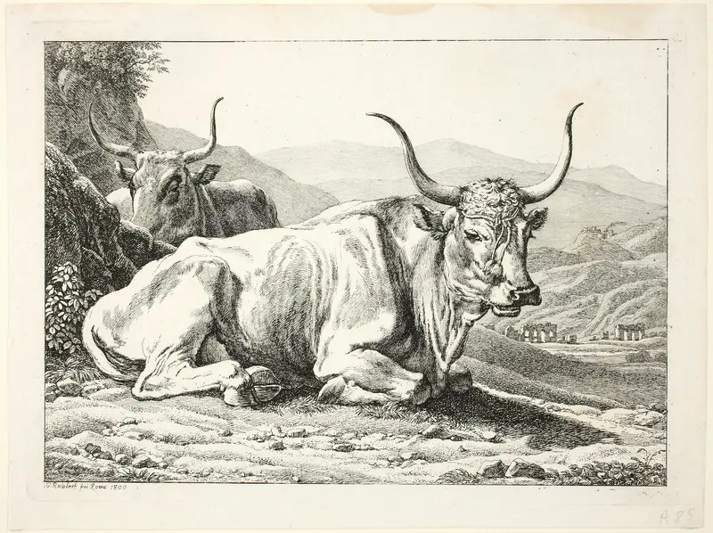 Two Roman Bulls Resting, from Die Zwiete Thierfolge Wall Art by Johann Christian Reinhart - High-Resolution Digital Print