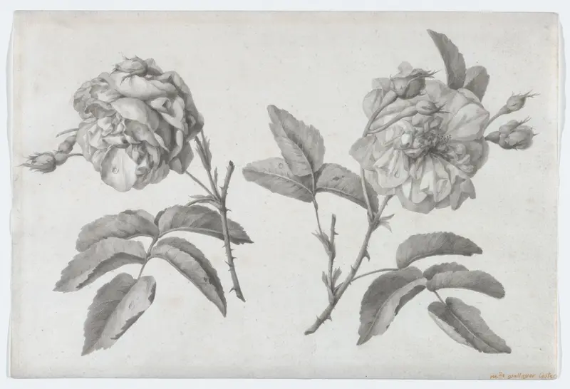 Two Roses Wall Art by Anne Vallayer-Coster - High-Resolution Digital Print