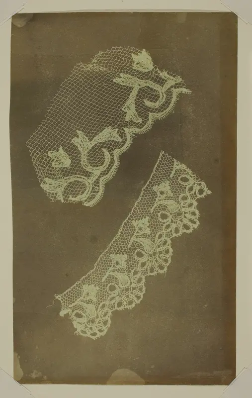 Two Scraps of Lace Wall Art by William Henry Fox Talbot - High-Resolution Digital Print