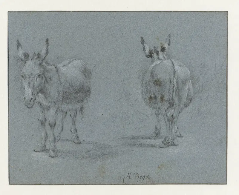 Two Studies of a Donkey, Seen from the Front and Behind Wall Art by Abraham Jansz Begeyn - High-Resolution Digital Print