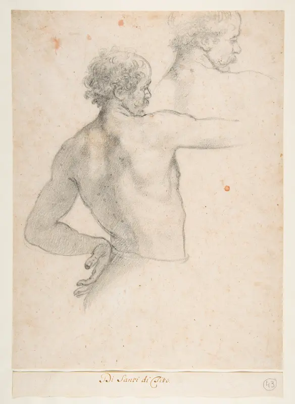 Two Studies of a Man Wall Art by Santi di Tito - High-Resolution Digital Print