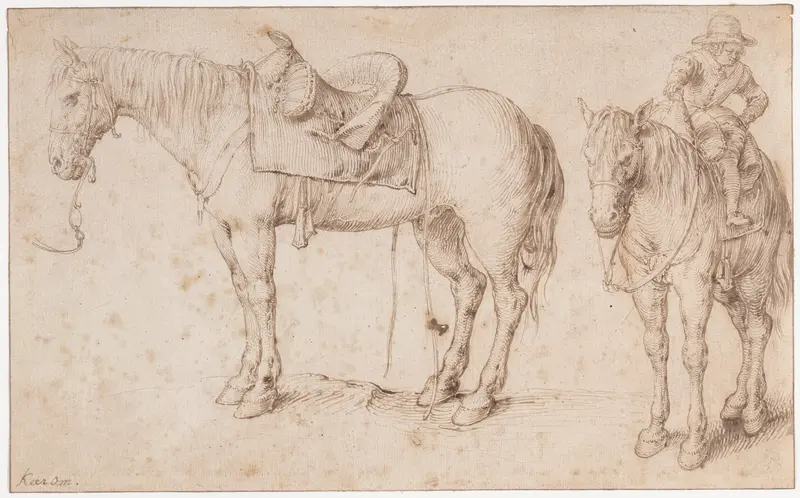 Two studies of a saddled horse and of a horse with a boy astride; verso: Study of a bean plant Wall Art by Jacques de Gheyn II - High-Resolution Digital Print