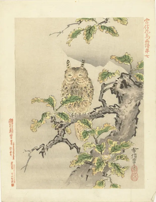 Uil op tak Wall Art by Aoki Kôsaburô - High-Resolution Digital Print
