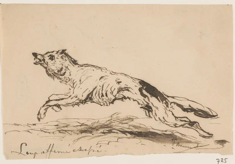 Uitgehongerde wolf Wall Art by Unknown - High-Resolution Digital Print