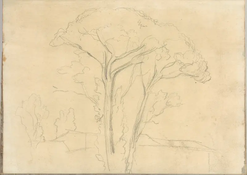 Umbrella pines and buildings, at Rome (Smaller Italian sketchbook, leaf 26 recto) Wall Art by Joseph Wright (Wright of Derby) - High-Resolution Digital Print