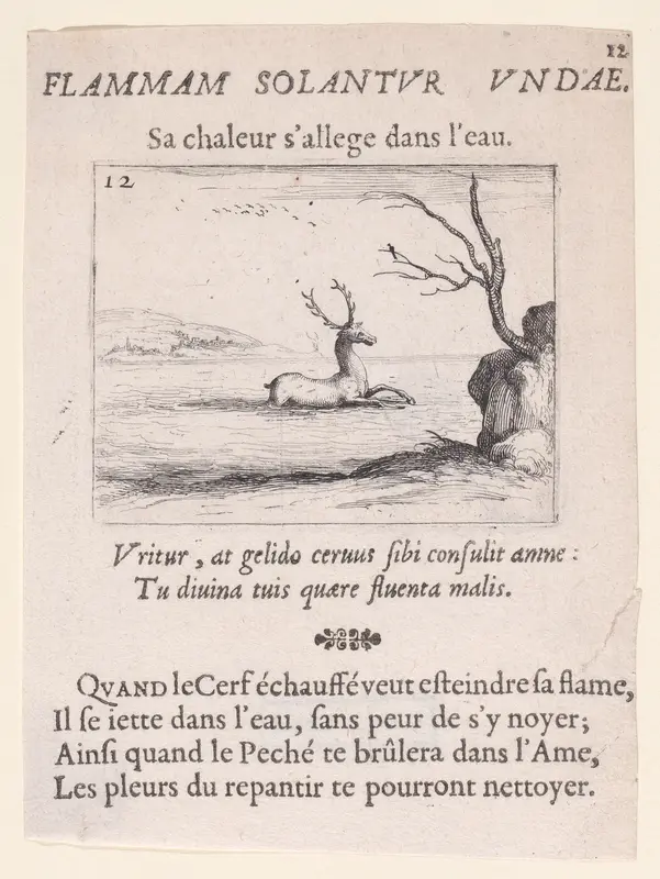Un Cerf dans l'Eau (A Deer in the Water), plate 12 from "Lux Claustri ou La Lumière du Cloitre" (The Light of the Cloisters) Wall Art by Jacques Callot - High-Resolution Digital Print