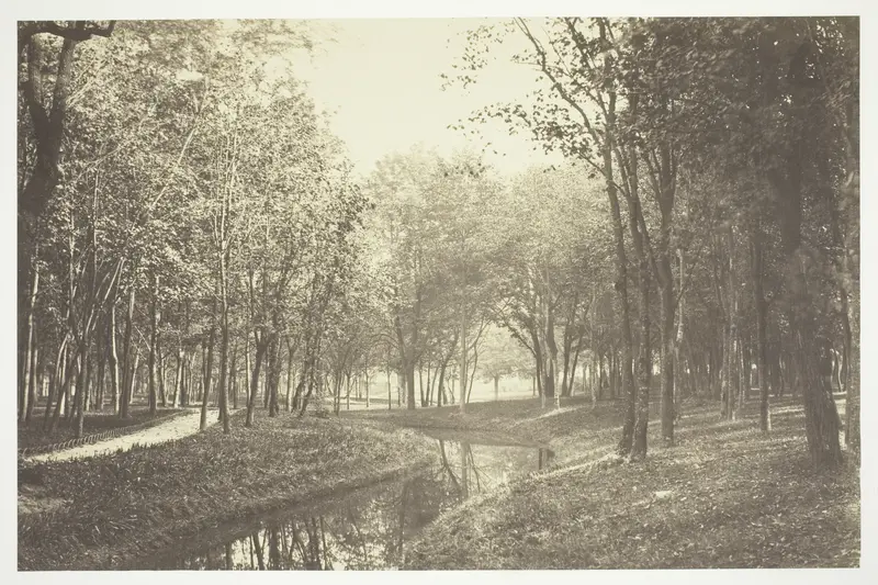 Untitled, from the series Bois de Boulogne"