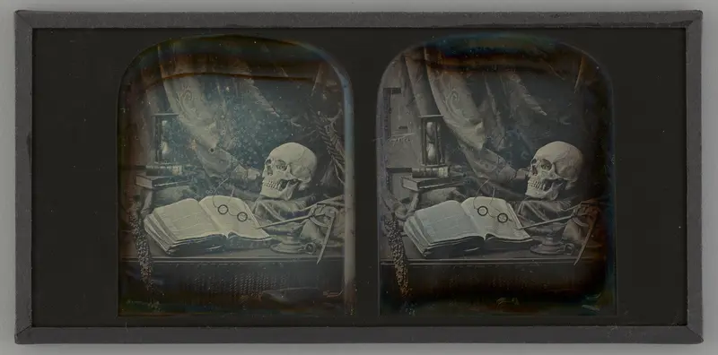 Untitled (Memento Mori Still Life)