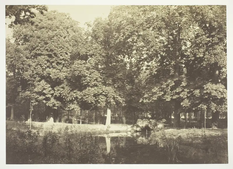 Untitledprint, from the series "Bois de Boulogne"