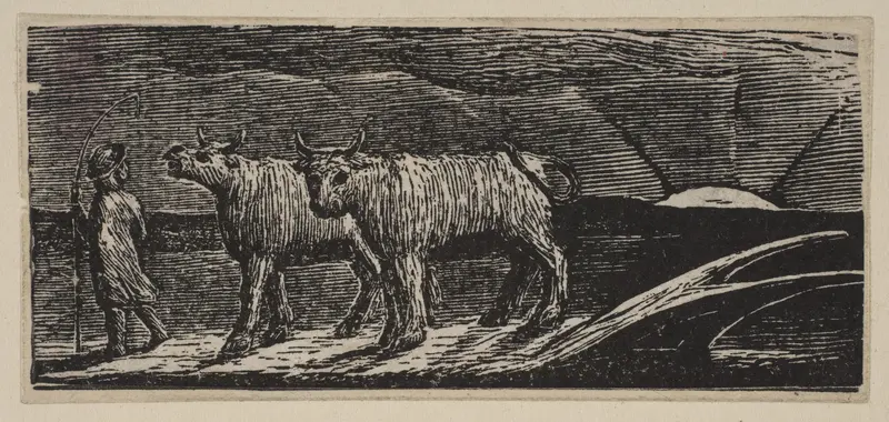 Unyok'd Heifers, Loitering Homeward (Return of the Shepherd), from Thornton's "Pastorals of Virgil" Wall Art by William Blake - High-Resolution Digital Print