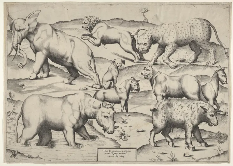 Various Animals Wall Art by Anonymous, Italian, 16th century - High-Resolution Digital Print