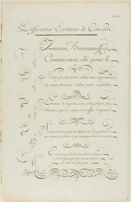 Various Joined Calligraphy, from Encyclopédie Wall Art by Aubin - High-Resolution Digital Print