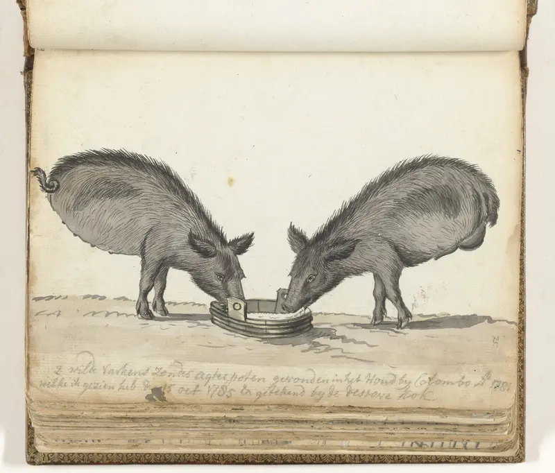 Varkens zonder achterpoten bij trog Wall Art by Jan Brandes - High-Resolution Digital Print